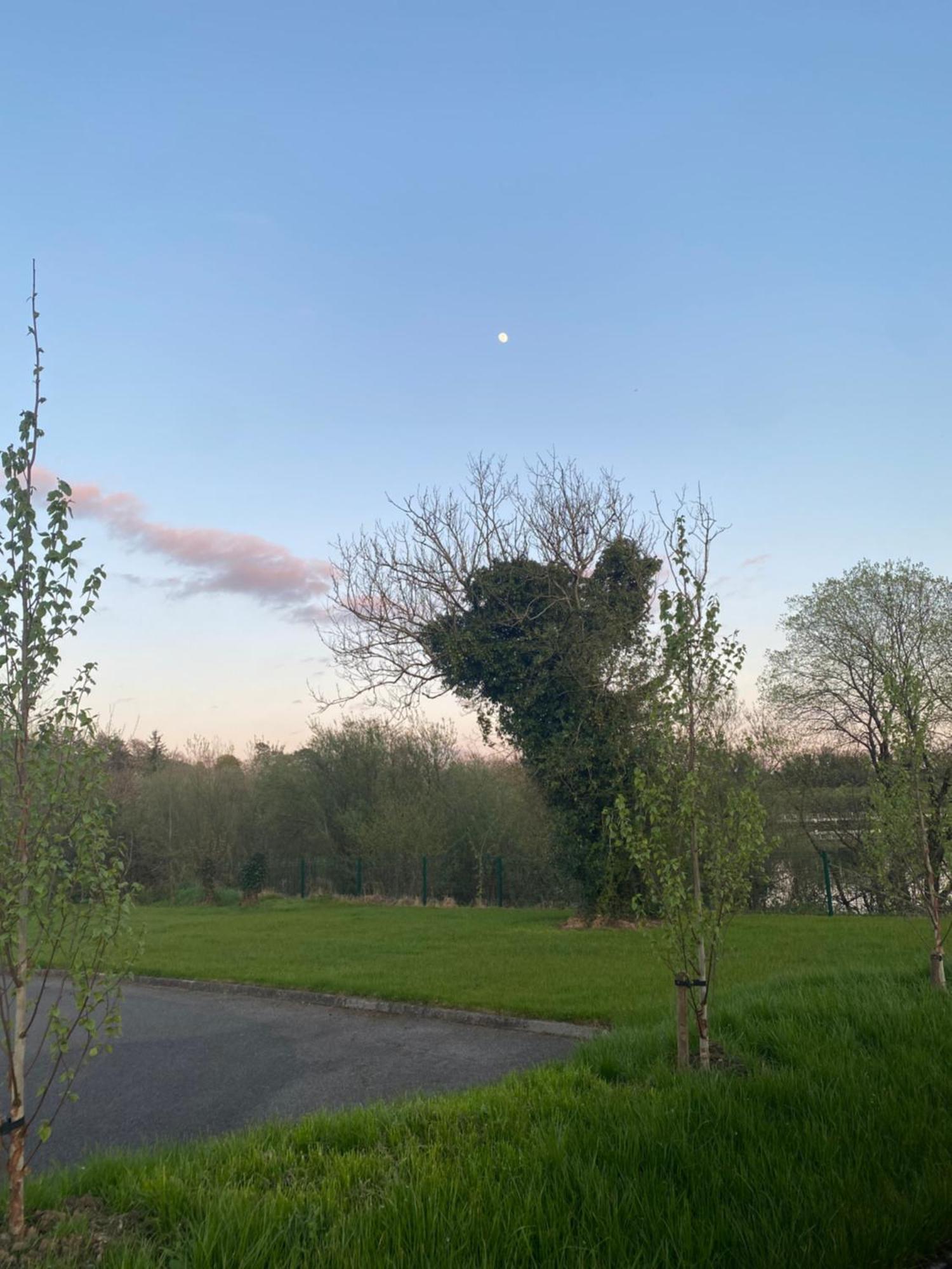 Killyfole Lakeside Lodges Corranny Exterior foto